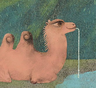 Fun Facts - Lizards, Tardigrades,&nbsp; Camels, oh my!