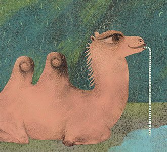 Fun Facts - Lizards, Tardigrades,&nbsp; Camels, oh my!